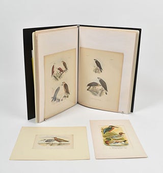 Item #16-4854 De vogels van Nederlandsch Indië. Les Oiseaux des Indes Neerlandaises. [Birds of...