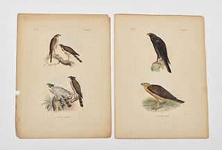 De vogels van Nederlandsch Indië. Les Oiseaux des Indes Neerlandaises. [Birds of the Dutch East Indies]. First edition of the lithographs with manuscript descriptions of the plates.