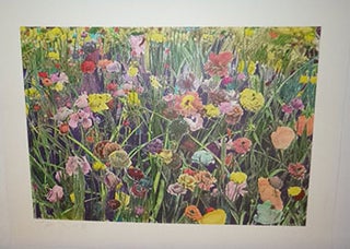 Item #16-4980 Flowers in a field à la Warhol. First edition of the print. John Singer