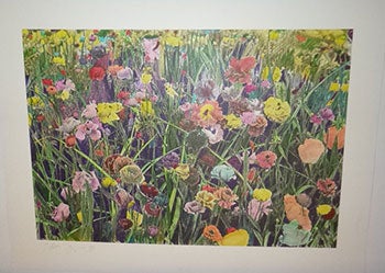 Item #16-4980 Flowers in a field à la Warhol. First edition of the print. John Singer.