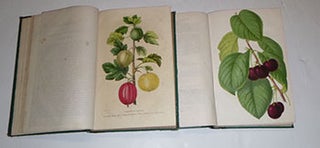 La Belgique Horticole. Journal des Jardins. Des Serres et des Vergers. ...Annales de Horticulture. Belge et Etrangère. First editions.