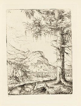 Albrecht Altdorfers Landschafts Radierungen. (The landscape etchings of Albrecht Altdorfers) First Edition.
