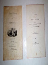 Item #16-5332 A Collection of color lithographs from Natural History of New York. A Flora of the...