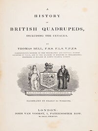 Item #16-6103 A History of British Quadrupeds, including the Cetacea. Illustrated by nearly 200...