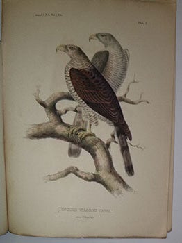 Item #16-6273 Journal of the Academy of Natural Sciences. Philadelphia. New Series. Vol. I. Part...