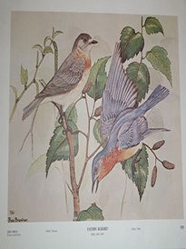 Item #16-6391 Rex Brasher's Birds of North America. Song Birds. Twelve Full-Color Prints for...