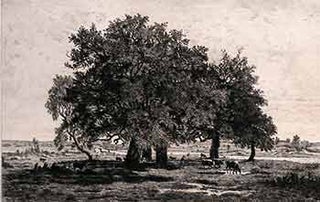 Item #17-3120 Group of Oaks in the Forest of Fontaine-bleau. (First edition of the etching.). Th....