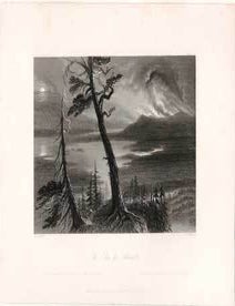 Item #17-3734 The Lac des Allumettes. (B&W engraving). W. H. Bartlett, J. T. Willmore.