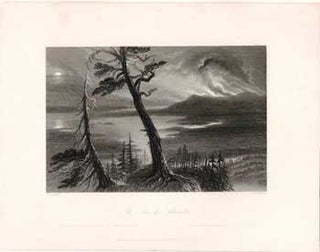 Item #17-3734 The Lac des Allumettes. (B&W engraving). W. H. Bartlett, J. T. Willmore
