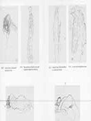 Item #18-0518 Gusav Klimt: 8 Faksimile Blatter (Eight Facsimile Leaves). (Prospectus only, not...
