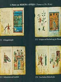 Item #18-0528 12 Motive aus Medicina Antiqua (Format ca. 38 x 28 cm). (Prospectus only, not full...