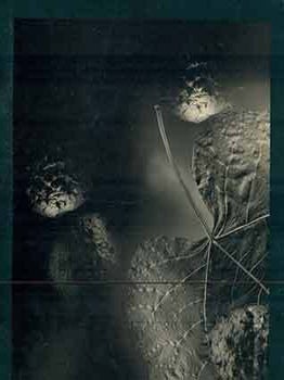 Item #18-1812 Gary SchneiderL: Botanical. Signed by author. (Prospectus only). First edition....