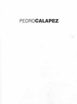 Item #18-5739 Pedro Calapez: ramos cérebros; folhas tubagens; circuitos: pinturas e bronzes /...