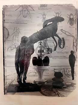 Item #19-4726 Mammal Body Wrapped With Surgical Tape Beside 19th Century Scientific Equipment and...