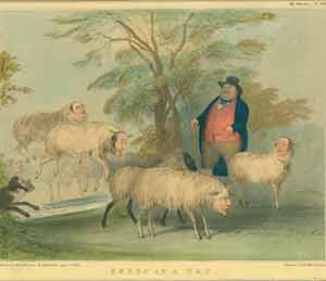 Doyle, John 'HB' (after) - Sheep at a Gap,