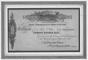 Item #19-7805 Certificate of Shares of The Common Capital Stock. Ceylon Company Ltd.
