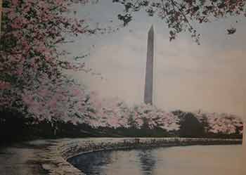 Item #19-8699 Washington DC Cityscape. 20th Century Artist, American.