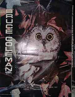 Item #19-9503 Bruce Coleman. Wildlife and Travel Photos. (Poster). Bruce Coleman, Photo