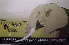 Item #50-0149 Elephants. African Wildlife Foundation. Daniel Gilbert.
