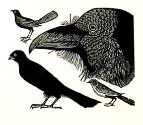 Item #50-0335 Crows. Leonard Baskin