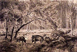 Item #50-0479 Wild Boars in the Forest of Fontainbleau. Peter Moran