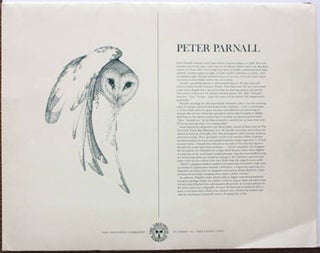 Item #51-0247 Pygmy Owl. Peter Parnall