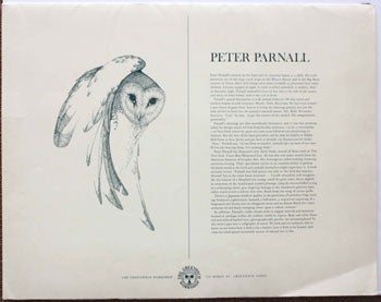 Item #51-0247 Pygmy Owl. Peter Parnall.