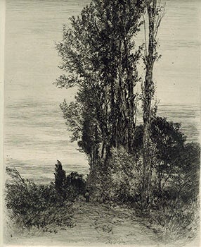 Item #51-1519 Pappeln (Poplars). Peter Halm.
