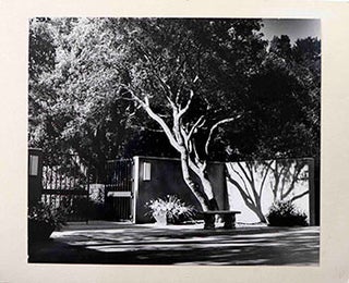Item #51-1685 University of California, Blake Garden. Contra Costa County. Erwin Strohmaier