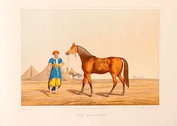 Alken, Henry (1785-1851) - The Arabian [Horse]. First Edition