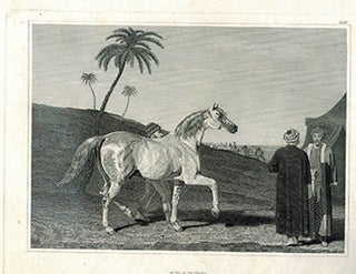 Item #51-1861 Araber. Aus der Kunstanst. des Bibliogr. Institut's in Hildburghausen. Kunstanst....