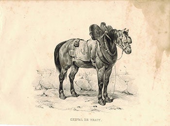 Item #51-1875 Cheval de Trait. (Workhorse). Victor Adam.