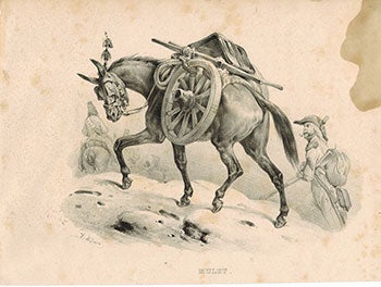 Item #51-1876 Mulet. (Mule). Victor Adam.