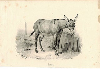 Item #51-1877 Ane (donkey). Victor Adam