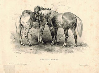 Item #51-1880 Chevaux Picard. Victor Adam