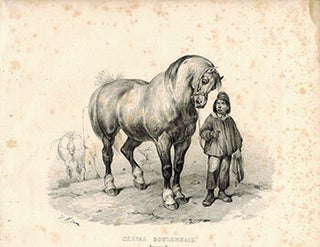 Item #51-1887 Chevel Boulonnais. Normande. Victor Adam