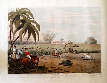 Item #51-2118 Beating Sugar-Canes for a Hog. Plate 2 from the Second Elephant Folio edition of ORIENTAL FIELD SPORTS : being a complete, detailed, and accurate description of the WILD SPORTS OF THE EAST...;. Samuel Howett, Thomas Williamson, Artist -, Author -.