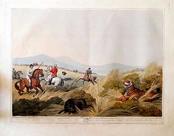 Item #51-2120 Hog-Hunters meeting by Surprise on a Tigress & her Cubs. Plate 4 from the Second Elephant Folio edition of ORIENTAL FIELD SPORTS : being a complete, detailed, and accurate description of the WILD SPORTS OF THE EAST. Samuel Howett, Thomas Williamson, Artist -, Author -.