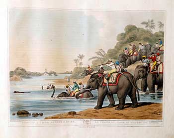 Item #51-2132 Driving a Tiger out of a Jungle [with a phalanx of elephants & hunters]. Plate 16 from the Second Elephant Folio edition of ORIENTAL FIELD SPORTS : being a complete, detailed, and accurate description of the WILD SPORTS OF THE EAST. Samuel Howett, Thomas Williamson, Artist -, Author -.