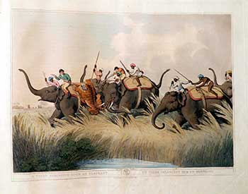 Item #51-2134 A Tiger springing on an Elephant [with a phalanx of elephants & hunters]. Plate 18 from the Second Elephant Folio edition of ORIENTAL FIELD SPORTS : being a complete, detailed, and accurate description of the WILD SPORTS OF THE EAST. Samuel Howett, Thomas Williamson, Artist -, Author -.