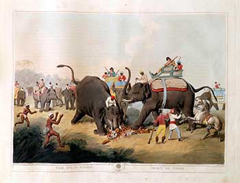 Item #51-2135 The Dead Tiger [with a phalanx of elephants & hunters]. Plate 19 from the Second Elephant Folio edition of ORIENTAL FIELD SPORTS : being a complete, detailed, and accurate description of the WILD SPORTS OF THE EAST. Samuel Howett, Thomas Williamson, Artist -, Author -.