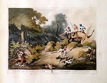 Item #51-2136 Shooters [on an elephant & with dogs] coming by surprise on a Tiger. Plate 20 from the Second Elephant Folio edition of ORIENTAL FIELD SPORTS : being a complete, detailed, and accurate description of the WILD SPORTS OF THE EAST. Samuel Howett, Thomas Williamson, Artist -, Author -.