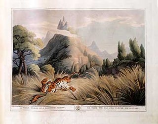 Item #51-2138 A Tiger killed by a poisoned Arrow. Plate 22 from the Second Elephant Folio...