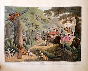 Item #51-2139 Shooting a Leopard in a Tree [with a phalanx of elephants & hunters & dogs]. Plate 23 from the Second Elephant Folio edition of ORIENTAL FIELD SPORTS : being a complete, detailed, and accurate description of the WILD SPORTS OF THE EAST. Samuel Howett, Thomas Williamson, Artist -, Author -.
