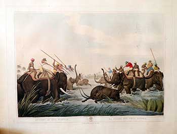 Item #51-2141 Hunting an Old Buffalo [The Buffalo at Bay with with a phalanx of elephants & hunters] . Plate 25 from the Second Elephant Folio edition of ORIENTAL FIELD SPORTS : being a complete, detailed, and accurate description of the WILD SPORTS OF THE EAST. Samuel Howett, Thomas Williamson, Artist -, Author -.