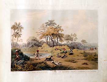 Item #51-2143 Shooting at the Edge of a Jungle [with dogs and small game]. Plate 27 from the Second Elephant Folio edition of ORIENTAL FIELD SPORTS : being a complete, detailed, and accurate description of the WILD SPORTS OF THE EAST. Samuel Howett, Thomas Williamson, Artist -, Author -.