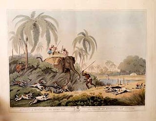 Item #51-2146 Hunting a Kuttauss, or Civet Cat [with hunters elephant and dogs]. Plate 30 from...