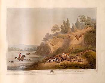 Item #51-2147 Hunting Jackalls (Jackels rescuing a hunted Brother). Plate 31 from the Second Elephant Folio edition of ORIENTAL FIELD SPORTS : being a complete, detailed, and accurate description of the WILD SPORTS OF THE EAST. Samuel Howett, Thomas Williamson, Artist -, Author -.