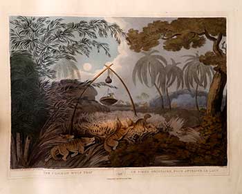 Item #51-2149 The Common Wolf-Trap. Plate 33 from the Second Elephant Folio edition of ORIENTAL FIELD SPORTS : being a complete, detailed, and accurate description of the WILD SPORTS OF THE EAST. Samuel Howett, Thomas Williamson, Artist -, Author -.