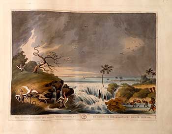 Item #51-2150 The Ganges breaking its banks, with Fishing etc.[by Birds and Natives] Plate 35 from the Second Elephant Folio edition of ORIENTAL FIELD SPORTS : being a complete, detailed, and accurate description of the WILD SPORTS OF THE EAST. Samuel Howett, Thomas Williamson, Artist -, Author -.